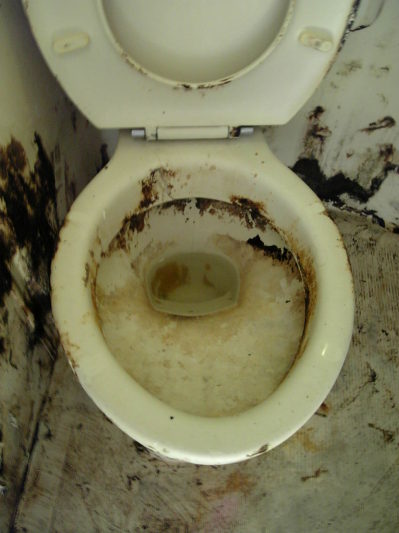 クリーニング前の汚すぎるトイレ